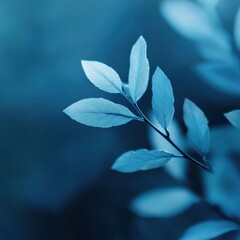 Blue leaves on a branch