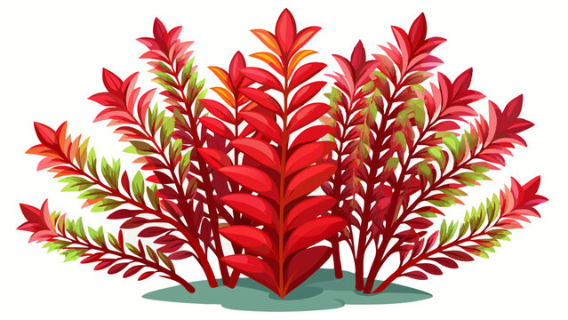 A rotala plant with red-tinted leaves, isolated on a white background.