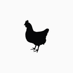 Black silhouette of a chicken on white background. Black farm hen vector silhouette.
