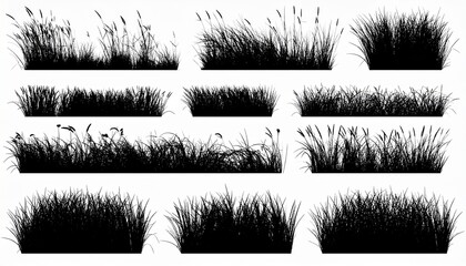 grass silhouettes set