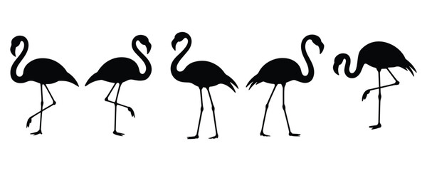 Flamingo bird silhouette, Summer flamingo bird icon, Flamingo silhouette collection, Flamingo silhouette on white background
