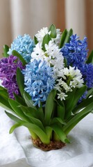 Hyacinth Flower Arrangement in Spring Colors Blue Purple and White on Table Linen