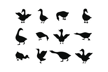 Wild and Domestic Goose Silhouettes Bundle