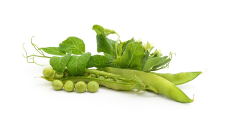 Green pea pods.