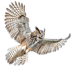 Fototapeta premium great horned owl in flight