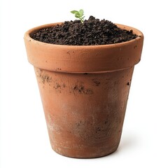 Small sprout in terracotta pot.  Freshly planted seedling in a rustic pot, dark soil, growth, nature