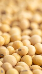 Portrait Photo of Soy with blurred background