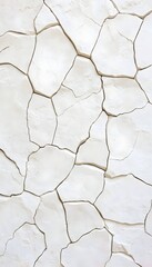 Cracked, off-white surface resembling dried mud or paint