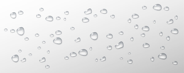 Realistic vector water drops png on a transparent light background. Water condensation on the surface with light reflection and realistic shadow. 3d vector illustration