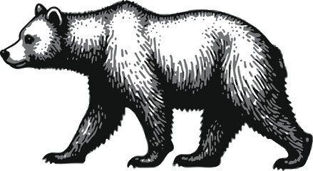 Vector Illustration of a Powerful Bear Silhouette in a Walking Pose, Symbolizing Strength, Wilderness, and Nature for Wildlife and Adventure Themes