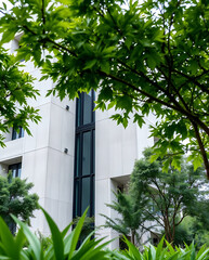 modern brutalism building with lush greenery, created by generative ai