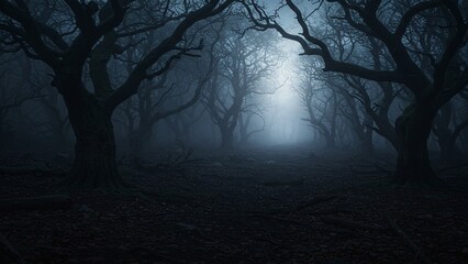 Dark Forest Fog