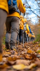 Hikers trek along autumnal trail, leaves underfoot