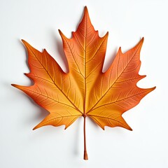 Obraz premium Orange maple leaf on white background