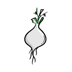 Hand drawn radish illustration, vegetable colored icon
