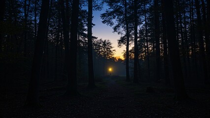 Fototapeta premium Dark Forest with Person Silhouette Walking Towards Bright Light