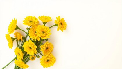 Vibrant yellow ranunculus corner bouquet on white & green background, floral design, vivid