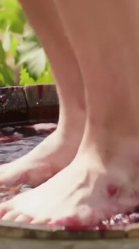 Foot stomping grapes making wine vintage tradition process harvest barefoot crushing method old world