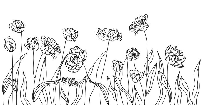 Hand Drawn Vintage Tulips meadow Decorative Frames, Elegant Line Art Borders for Invitations, Labels, Logos, and Retro Design Projects