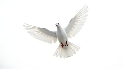 Obraz premium A pure white dove in mid-flight, representing the Holy Spirit, with intricate feather details and a clean white background for versatile spiritual use.