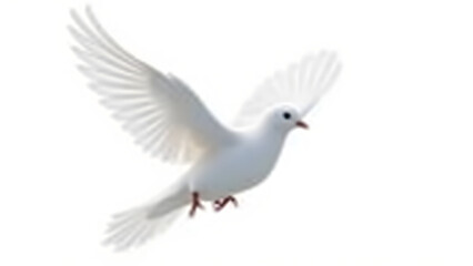 A pure white dove in mid-flight, representing the Holy Spirit, with intricate feather details and a clean white background for versatile spiritual use.
