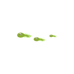 Cartoon green tadpole. Water animal flat vector illustration