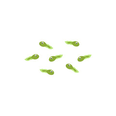 Cartoon green tadpole. Water animal flat vector illustration