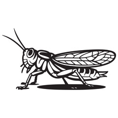 locust silhouette line art vector illustration with white background