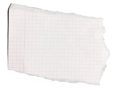 Torn Grid Paper: A partially torn piece of grid paper, exhibiting texture and lines	
