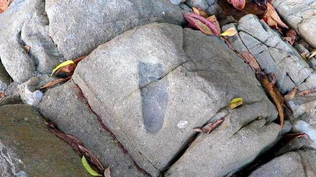 Xenolith Rock Stone Trapped in Magma in Lam Ru Thailand.