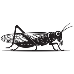 locust silhouette line art vector illustration with white background