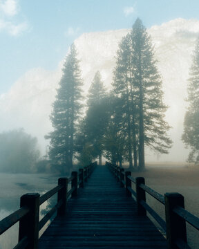 Yosemite National Park