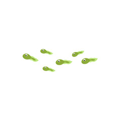 Cartoon green tadpole. Water animal flat vector illustration