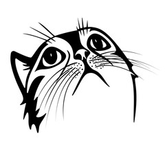 Simple line art of a cat's head looking up, a vector graphic in black and white with no background, a clean contour, one color
