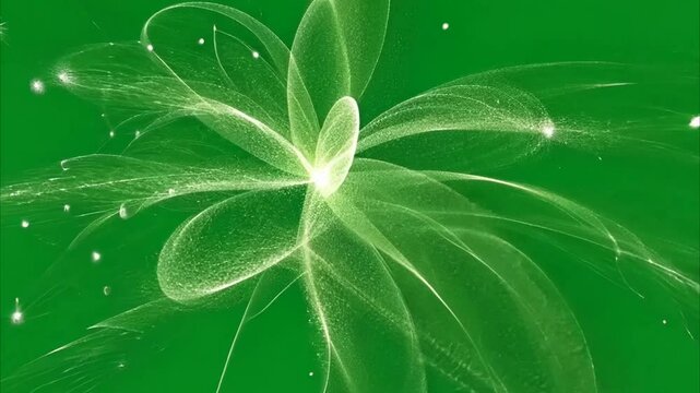 green leaf with drops