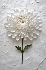 A single, white chrysanthemum with a green stem at the center of the picture, depicted in an artistic style that creates a textured background resembling fine flower petals