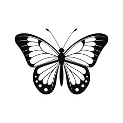 Black Silhouette Butterfly Vector Art & Icons on White Background. Vector Illustration