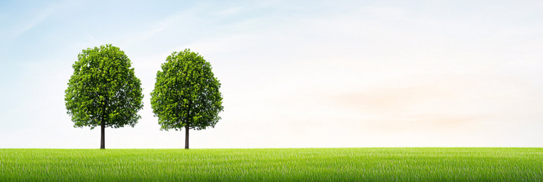 Two lush green trees stand proudly in a vibrant field underneath a serene pastel sky landscape.