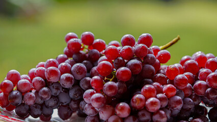 Close up of raw organic sweet red grapes background.