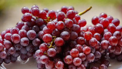 Close up of raw organic sweet red grapes background.