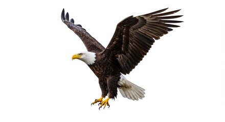 Majestic Bald Eagle in Flight Symbolizing Freedom and American Pride with its Powerful Wings and Sharp Vision Against a Pure White Background