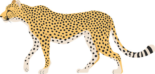 チーター © AQ-taro Images