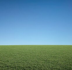 Fototapeta premium Vast expanse of vibrant green grass meeting a clear, vibrant blue sky. A horizontal horizon line divides the two