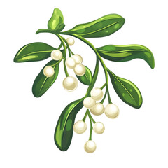 Obraz premium mistletoe sprig green leaves white berries