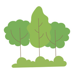 Obraz premium Landscape of lush forest with three green trees. Ideal for environmental, nature, or outdoor related designs and projects. Suitable for educational materials