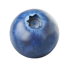 One blueberry isolated on Png Format and Transparent Background