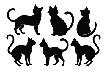 Elegant Cat Silhouette Poses – Feline Vector Icons and Shapes