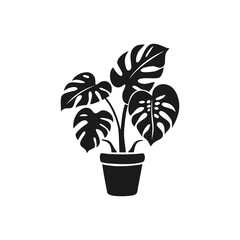 Vector silhouette Monstera flower in a pot as an interior or home garden decoration Silhouette of a Money Tree houseplant with twisted trunk and lush leaves in a flowerpot