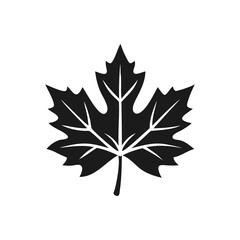 Maple Leave Silhouette maple leaf icon illustration vector Maple leaf outline vector illustration