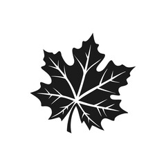 Fototapeta premium Maple Leave Silhouette maple leaf icon illustration vector Maple leaf outline vector illustration